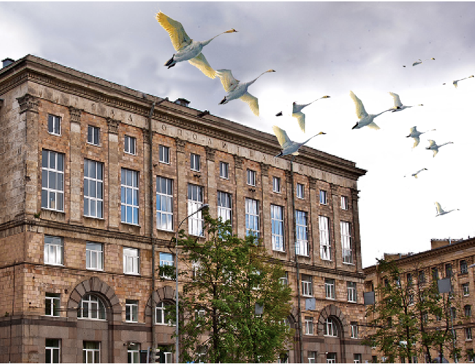 Изображение: Результаты поступления в ВУЗы учеников 2025 года выпуска